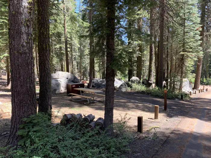 Camper submitted image from Crane Flat Campground — Yosemite National Park - 1
