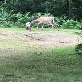 Review photo of Boulder Junction by Liz D., August 21, 2019