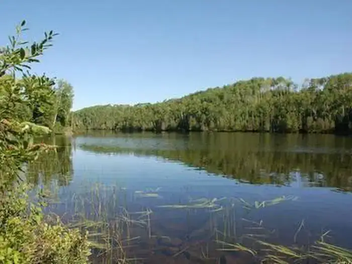 Camper-submitted photo at East Bearskin Lake Campground near Grand Marais, MN