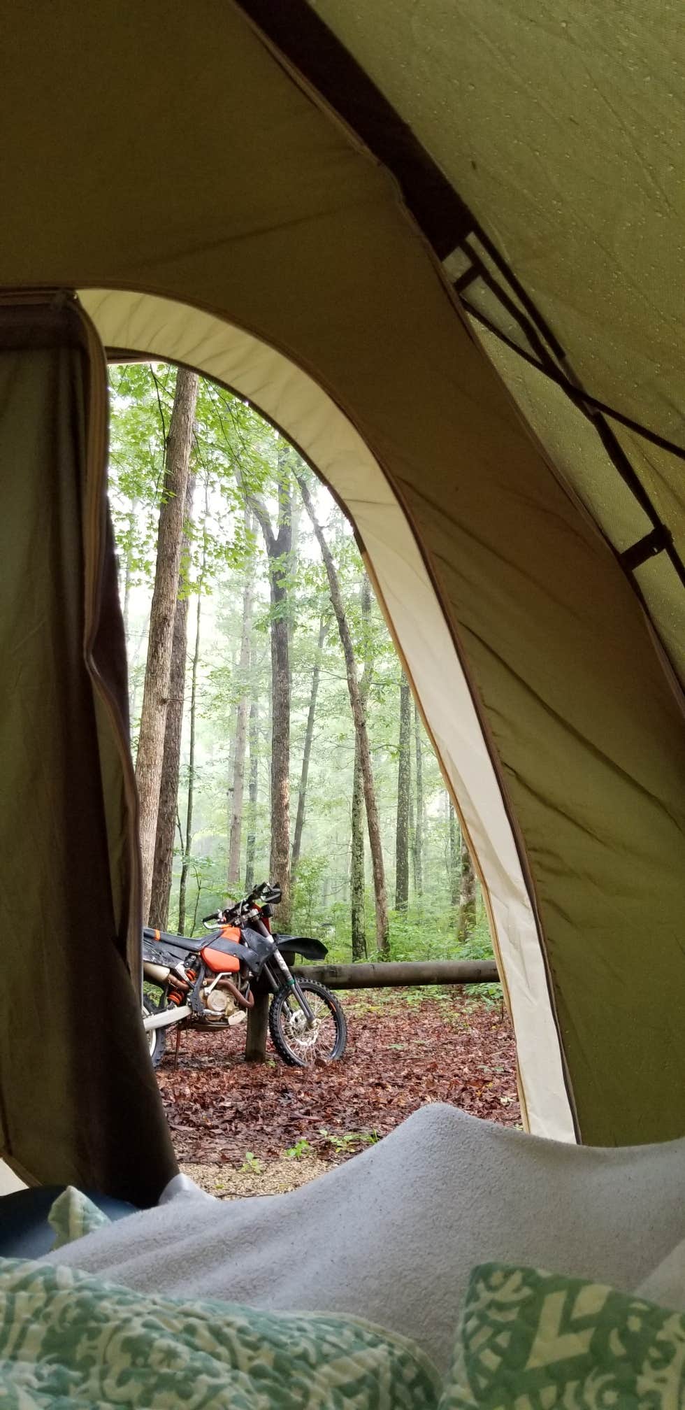 Wayne H.'s photo at S-Tree Campground near Manchester, KY