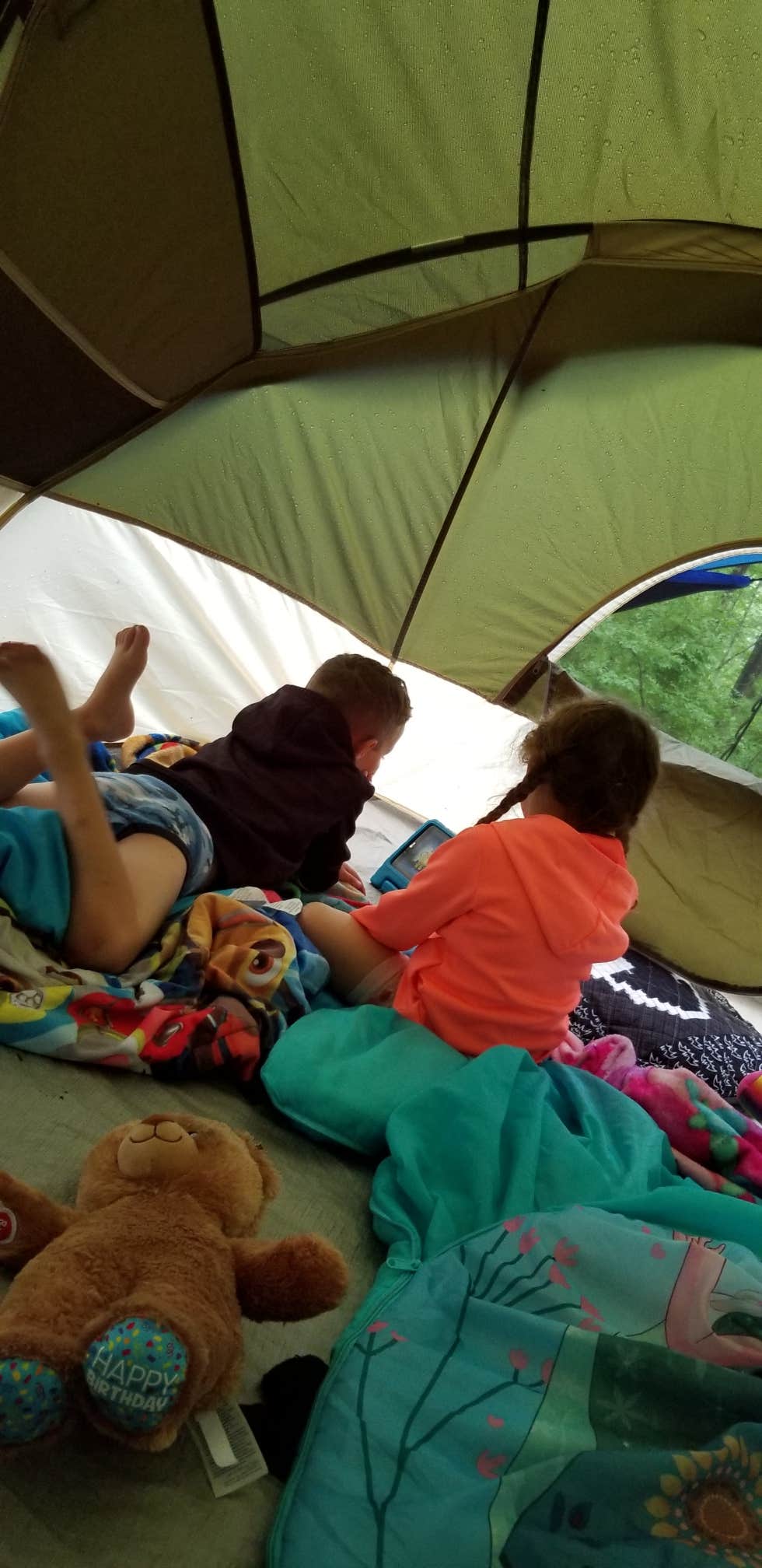 Wayne H.'s photo at S-Tree Campground near Bryantsville, KY