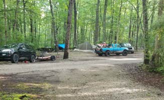 Wayne H.'s photo at S-Tree Campground near Gray Hawk, KY