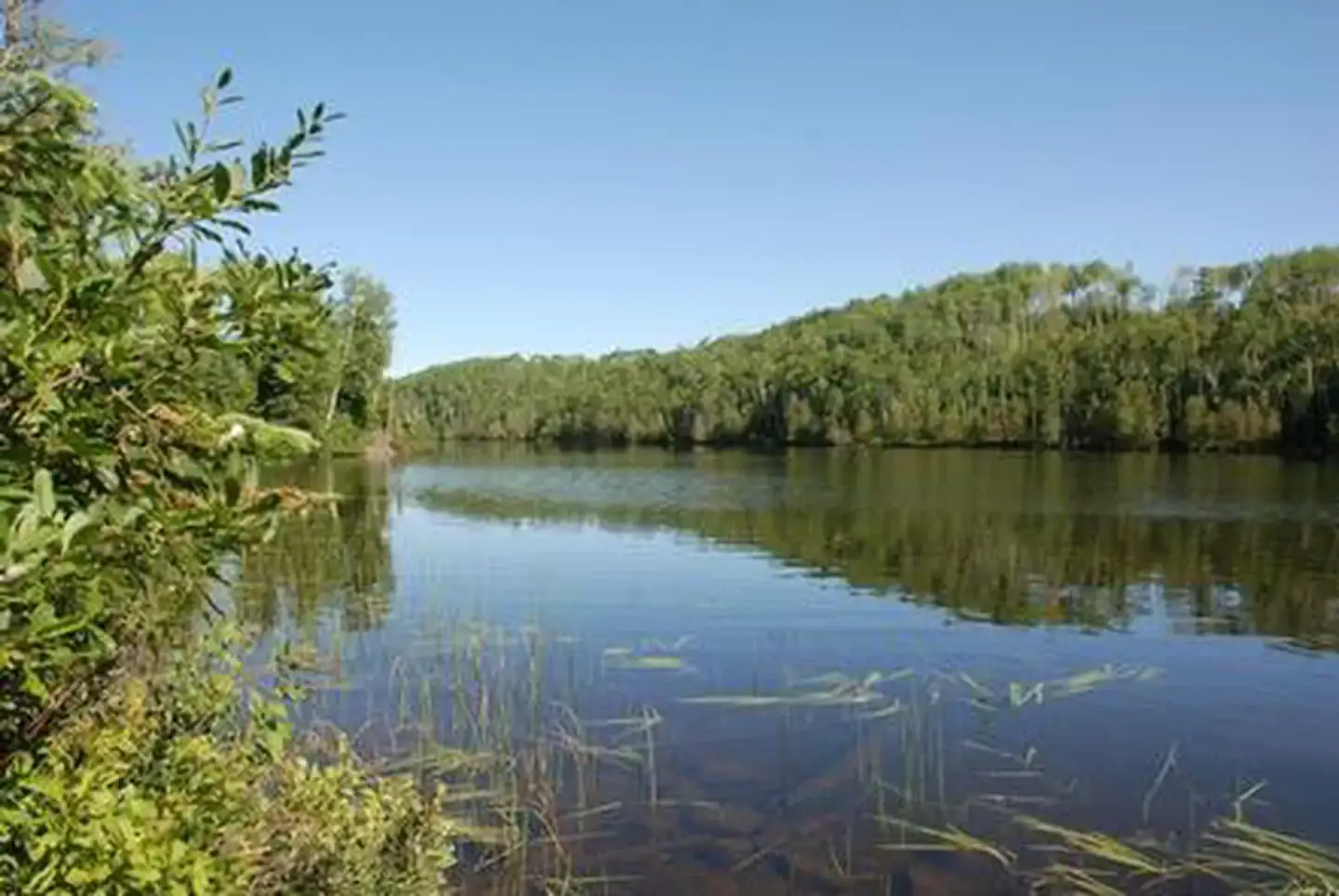 Camper-submitted photo at East Bearskin Lake Campground near Grand Marais, MN