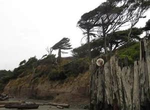 Kalaloch Campground - group — Olympic National Park