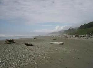 Kalaloch Campground - group — Olympic National Park