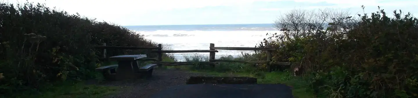 Camper-submitted photo at Kalaloch Campground - group — Olympic National Park in Washington