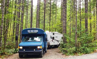 The Free Birds RV R.'s photo of rv camping at Big Creek Campground near Hoodsport, WA