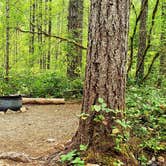 Review photo of Big Creek Campground by The Free Birds RV R., August 21, 2019