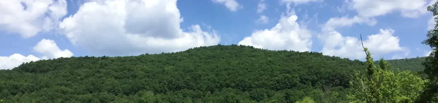 Camper-submitted photo at Willow Bay Recreation Area near Cassadaga, NY