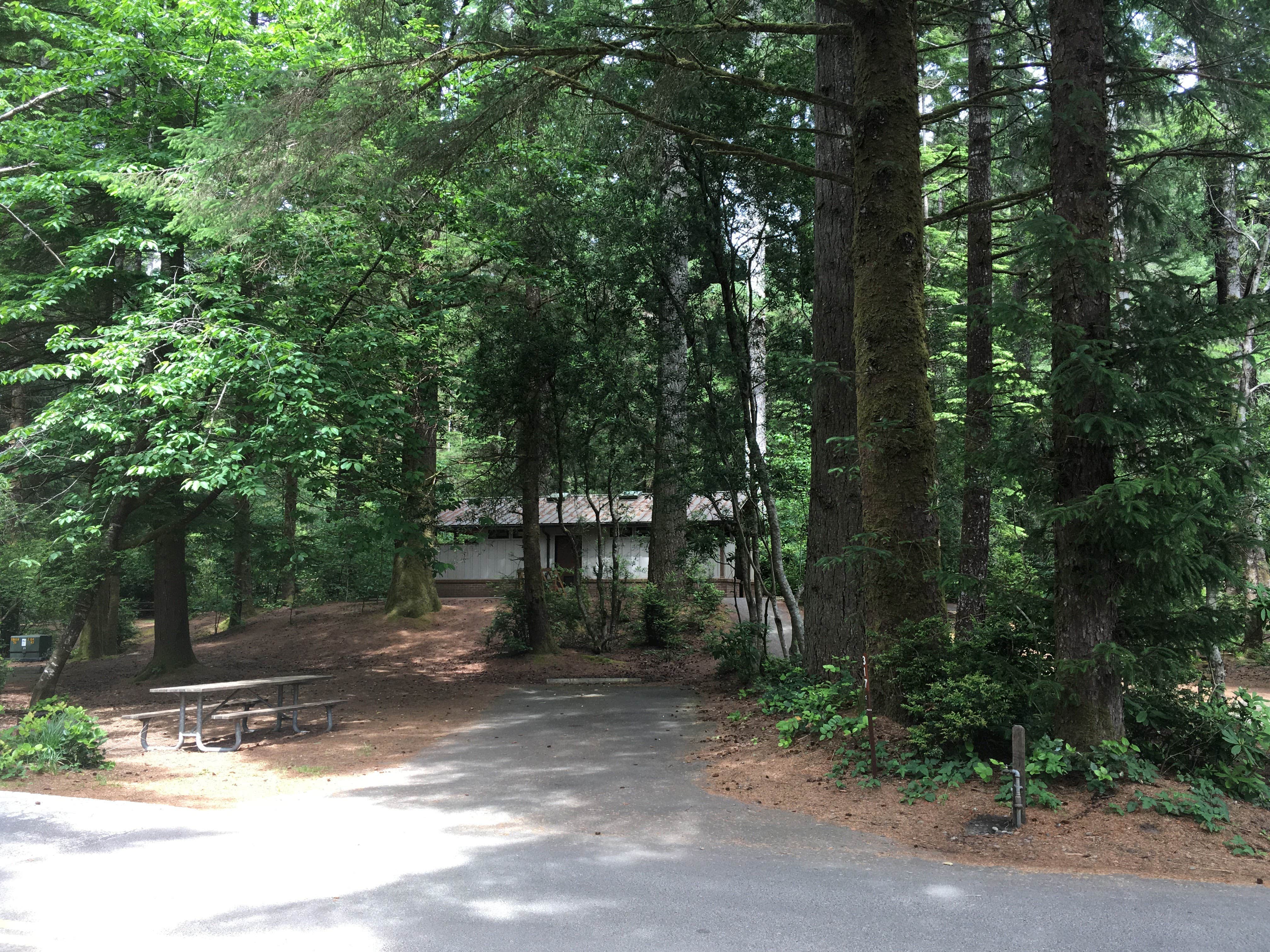 Camper submitted image from Jessie M. Honeyman Memorial State Park Campground - 4