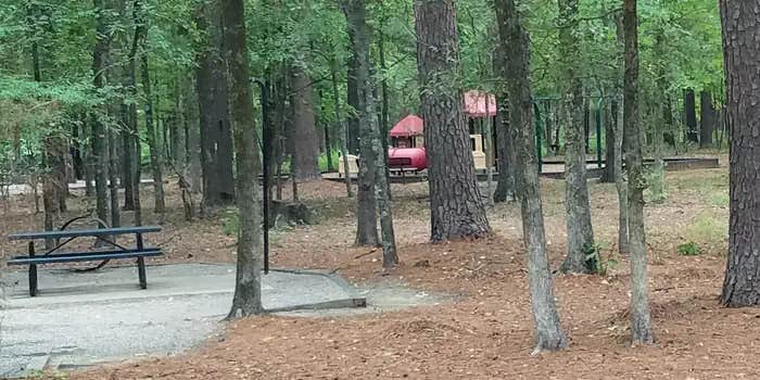 Camper submitted image from Malden Lake Campground