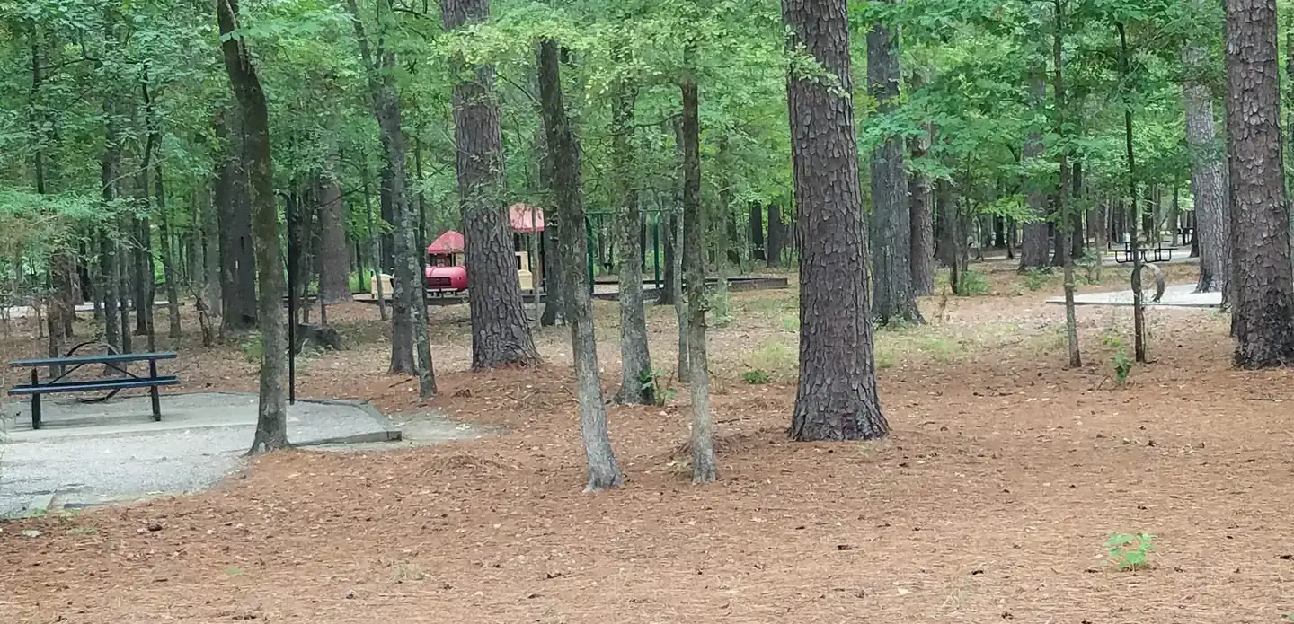 Camper-submitted photo at Malden Lake Campground near New Boston, TX