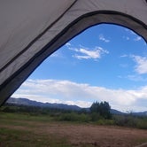 Review photo of Cosmic Campground by Cynthia F., August 21, 2019