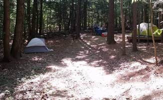 Brittney K.'s photo at Gilson Pond Area Campground — Monadnock State Park near Phillipston, MA