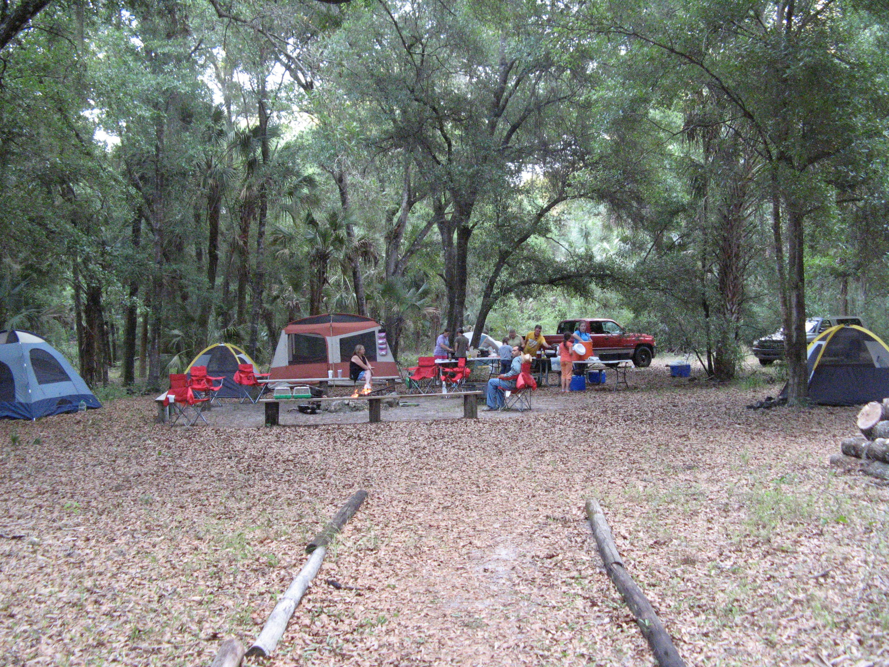 Tracy L H.'s photo at Flat Island Preserve near Leesburg, FL