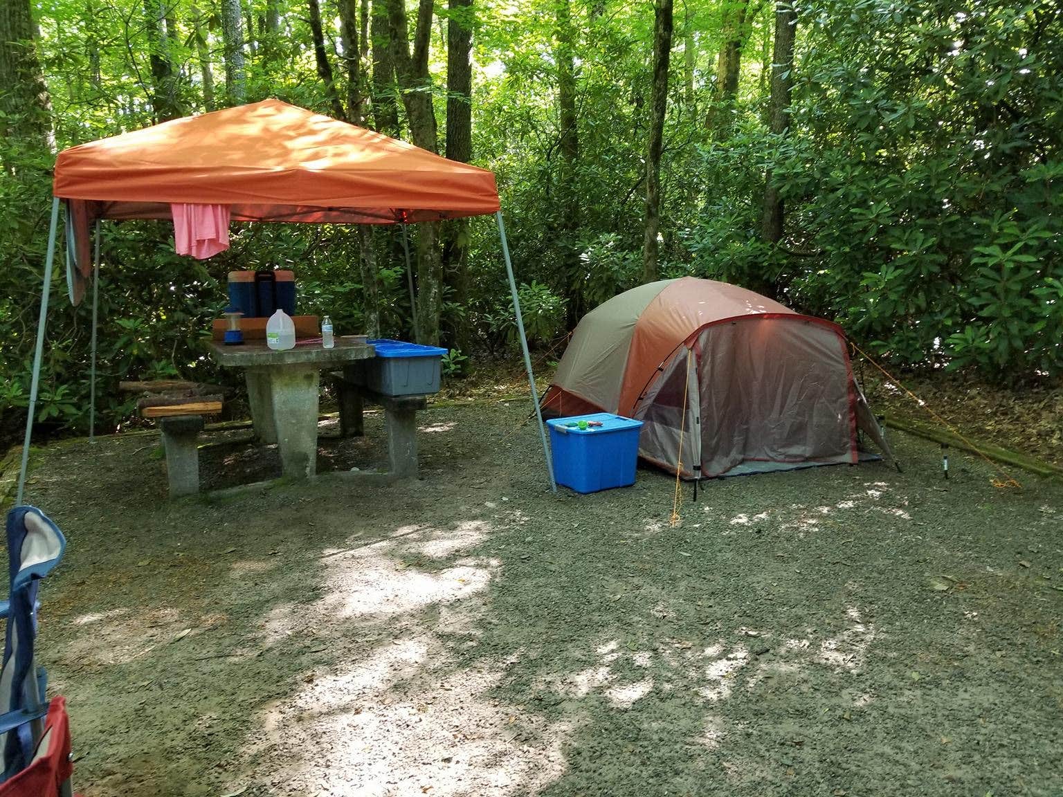 Michelle P.'s photo at Standing Indian Campground near Otto, NC