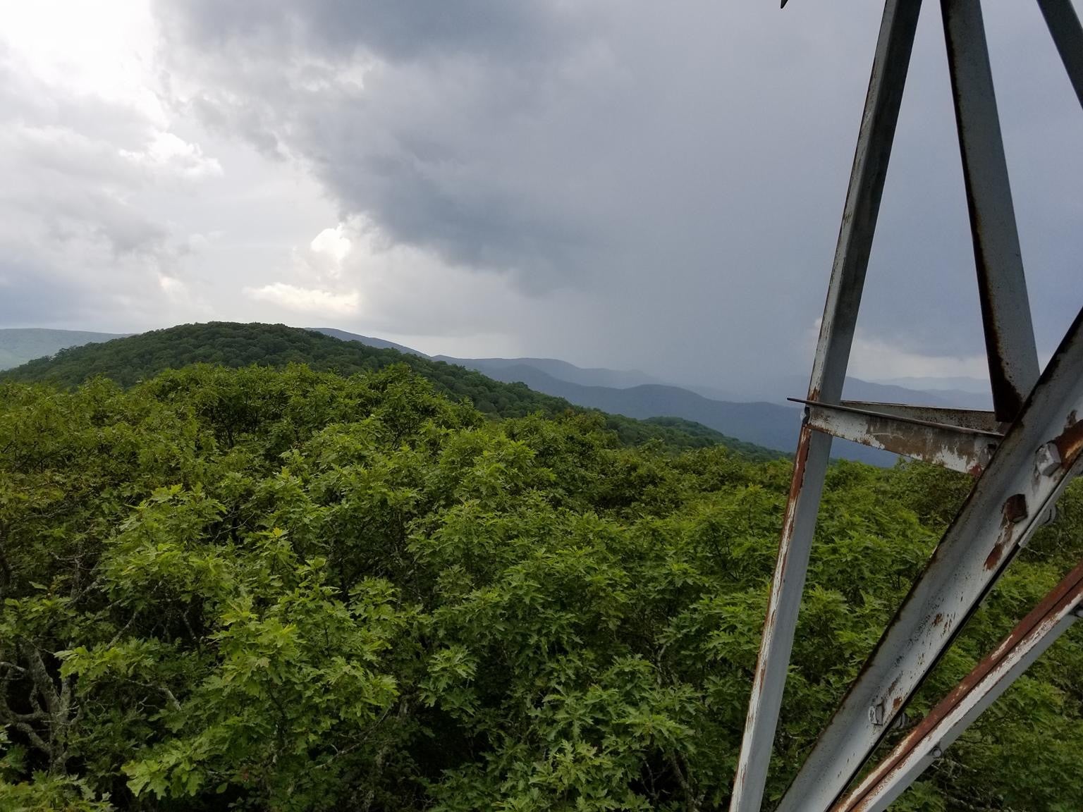 View from fire tower