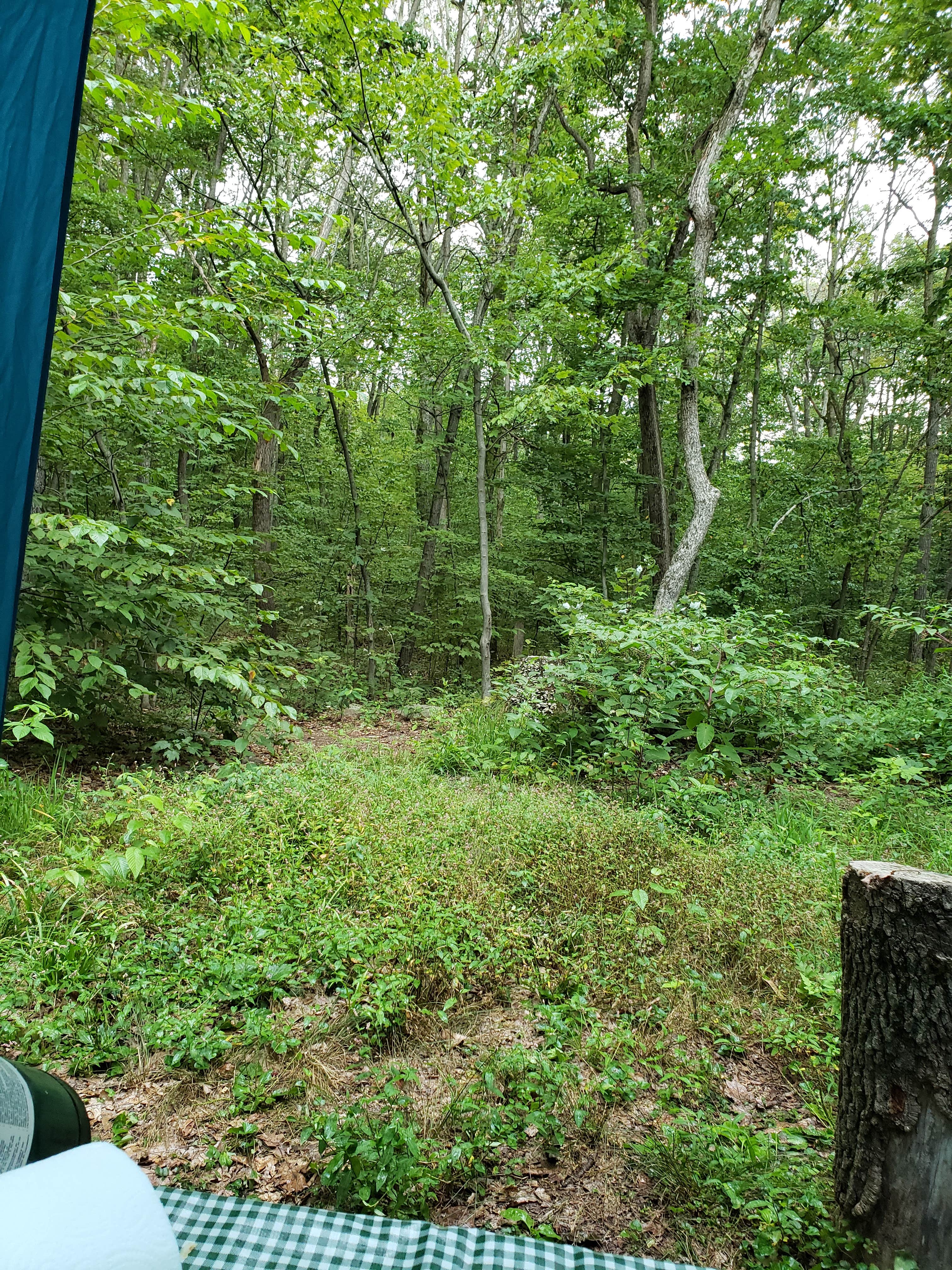 Camper-submitted photo at French Creek near Okanogan-Wenatchee National Forest