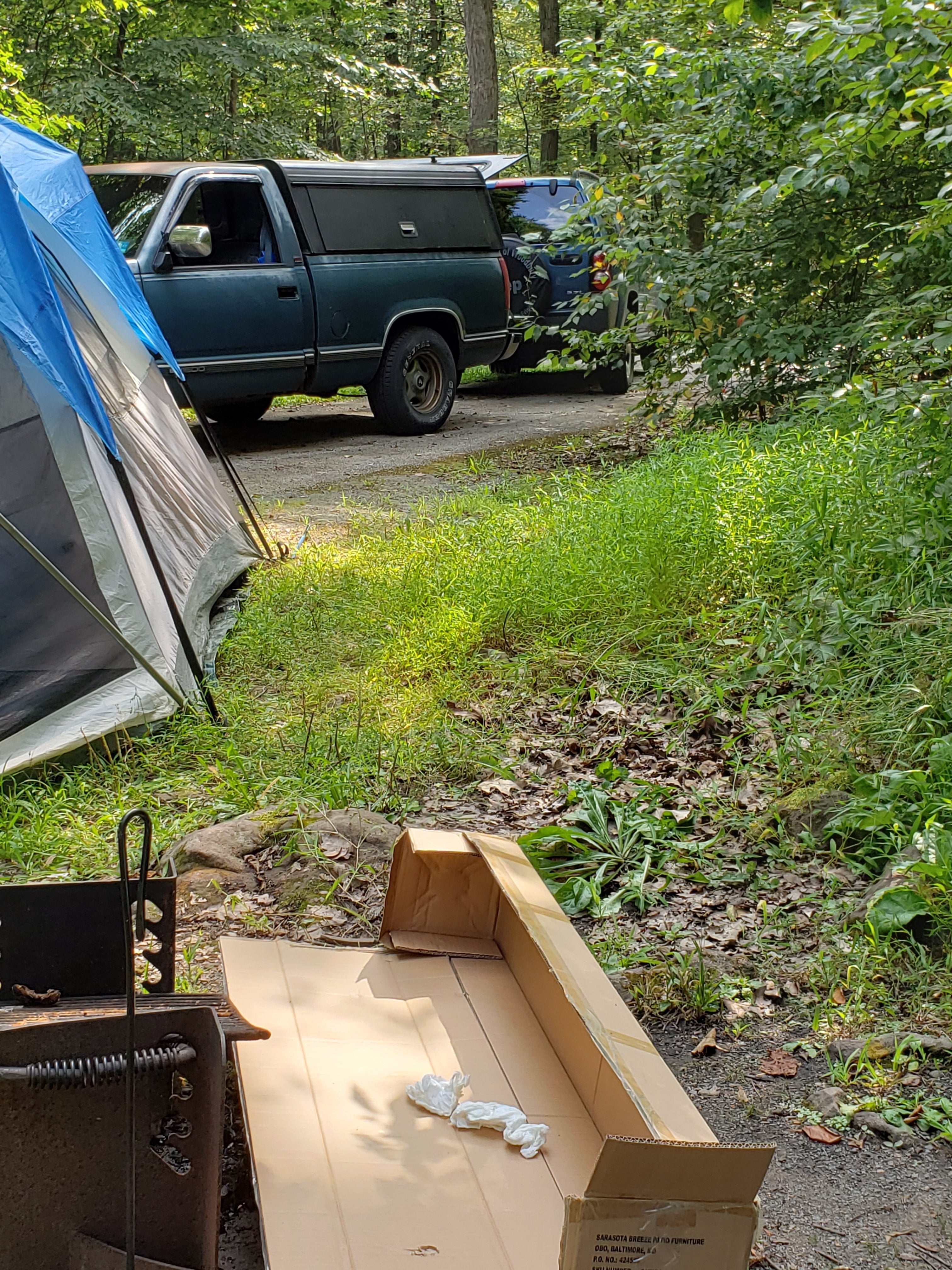 Camper submitted image from French Creek - 2