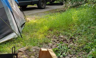 Amber W.'s photo of tent camping at French Creek near Leavenworth, WA