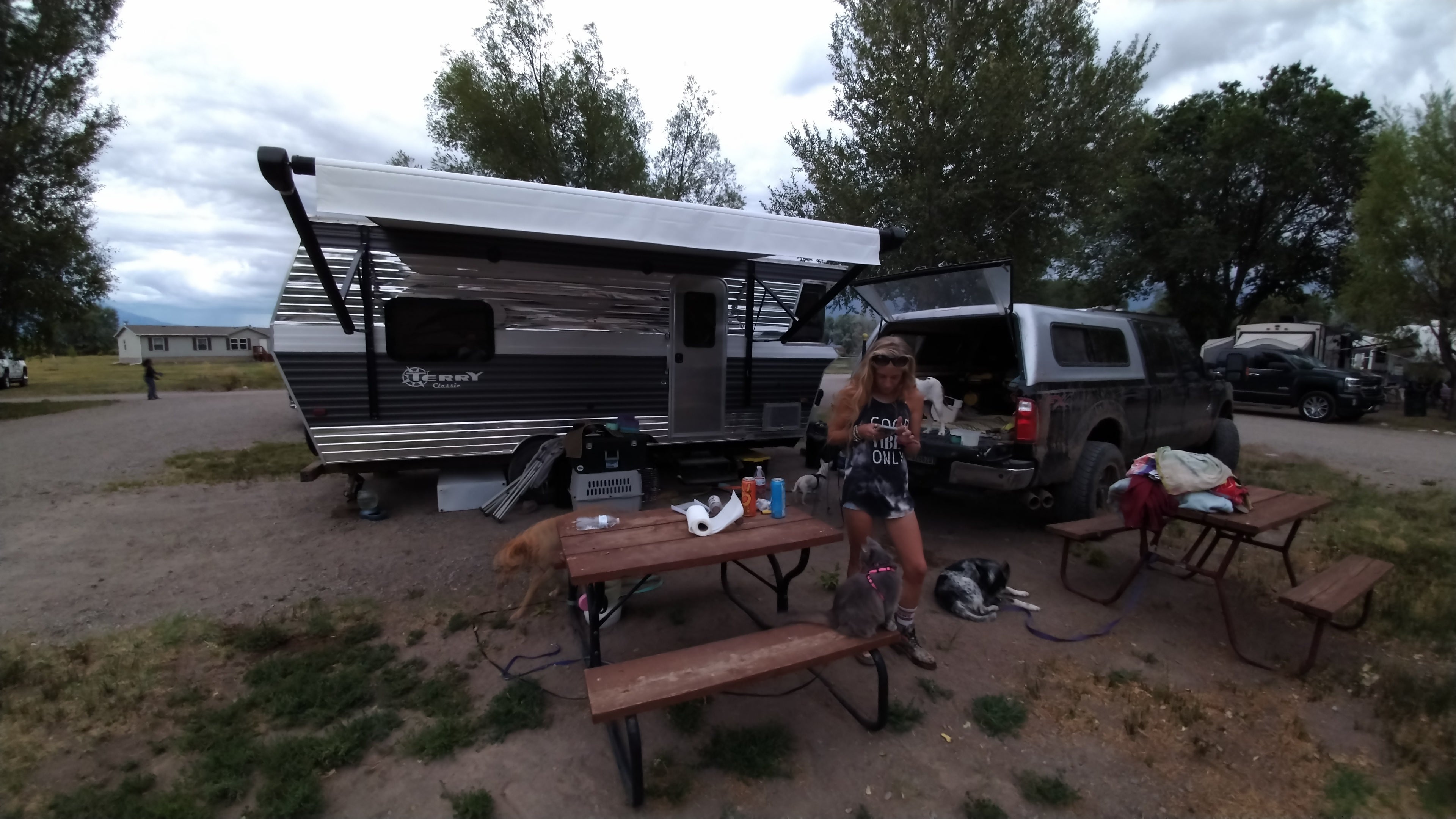 Camper submitted image from Alamosa KOA - 5