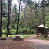 Review photo of Jessie M. Honeyman Memorial State Park Campground by Dave S., June 9, 2016