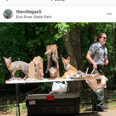 Review photo of Eno River State Park Campground by Elizabeth V., August 21, 2019