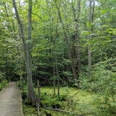 Review photo of Blind Lake Rustic Campground — Pinckney Recreation Area by Max O., August 21, 2019