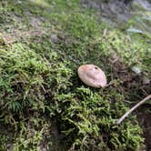 Review photo of Blind Lake Rustic Campground — Pinckney Recreation Area by Max O., August 21, 2019