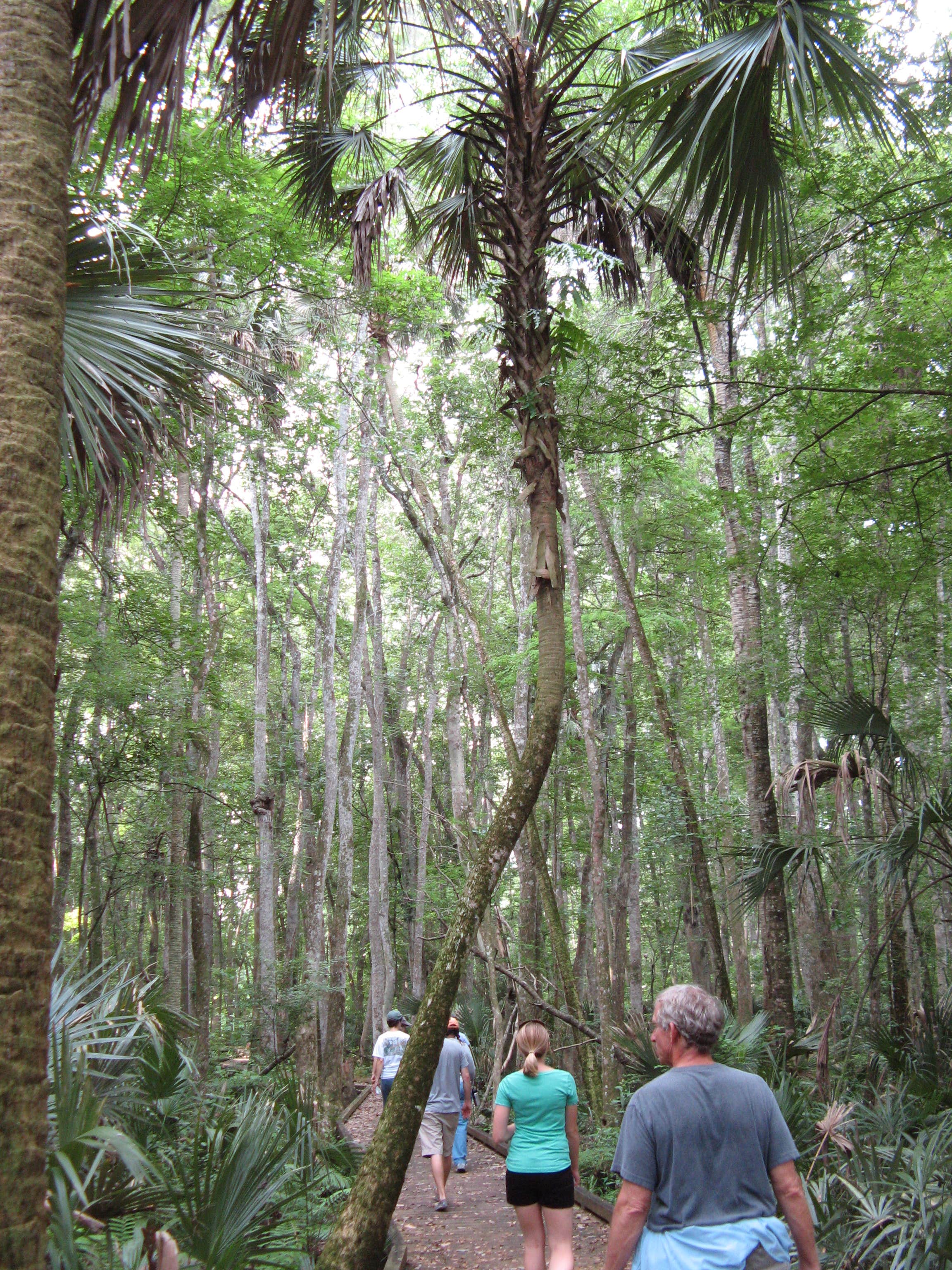 Camping near Lake Griffin State Park Campground: Flat Island Preserve, Leesburg, Florida