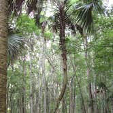 Review photo of Flat Island Preserve by Tracy L H., September 27, 2016