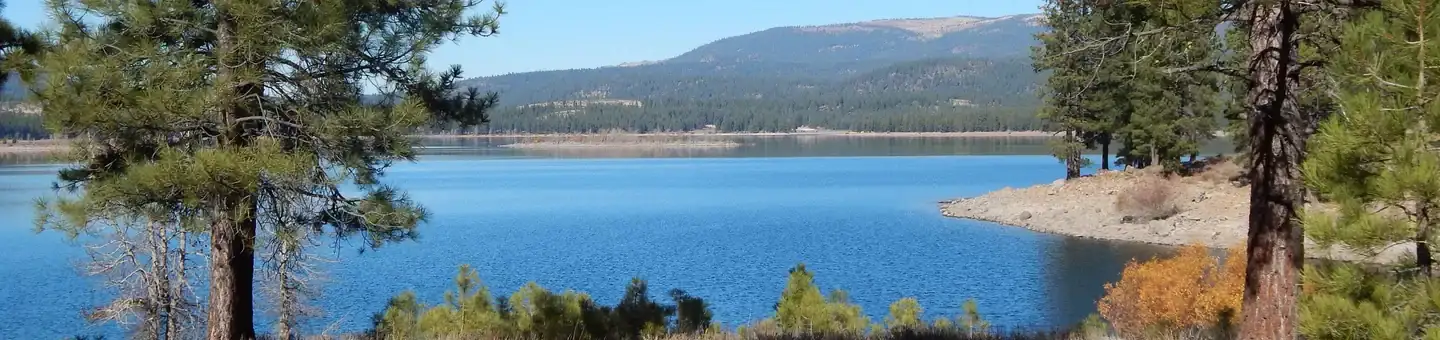 Camper-submitted photo at Logger Campground near Washoe Valley, NV