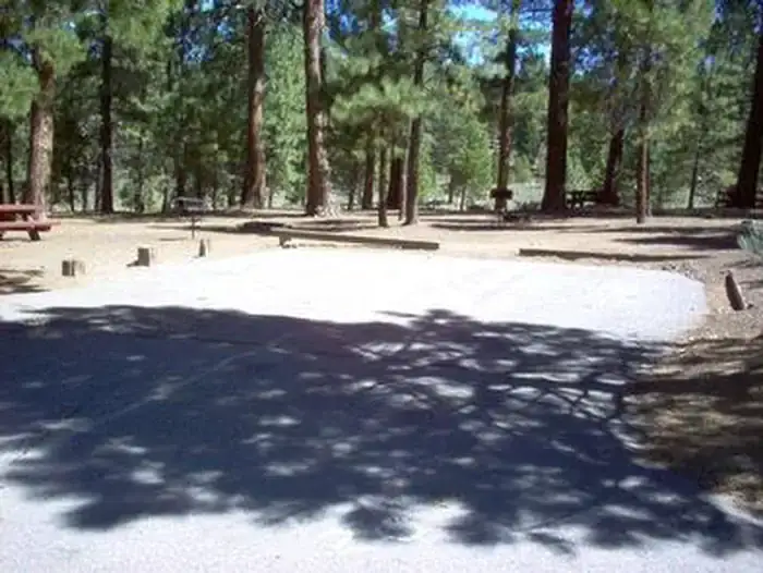 Camper-submitted photo at Logger Campground near Washoe Valley, NV