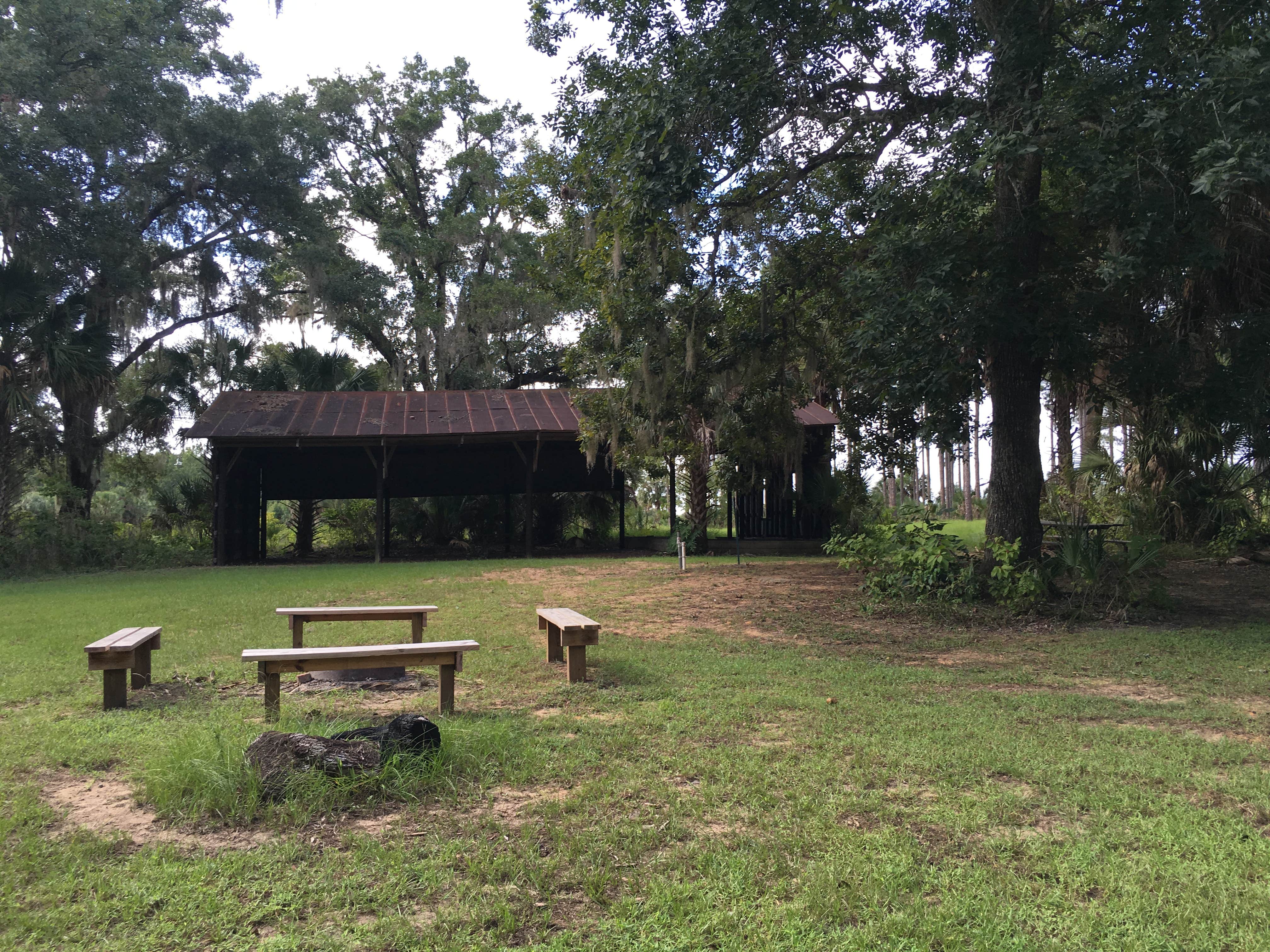 Camper submitted image from Lake Norris Conservation Area - 4