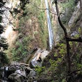 Review photo of Limekiln State Park Campground — TEMPORARILY CLOSED by Anne K., August 21, 2019