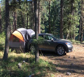 Camper-submitted photo from Finley Point Unit — Flathead Lake State Park