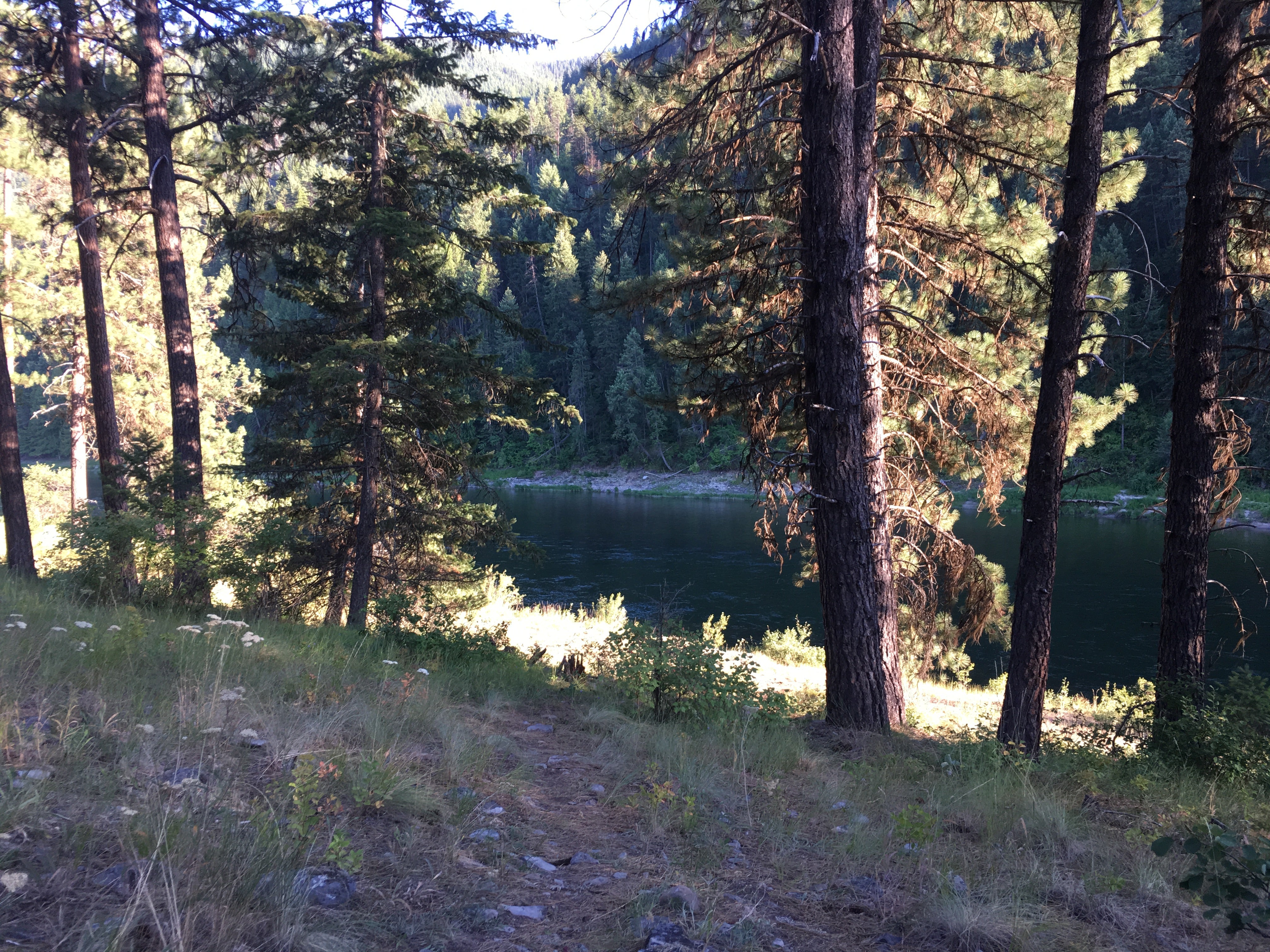 Camper submitted image from National Forest Recreation Area - Peninsula - 2