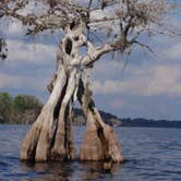 Review photo of Lake Norris Conservation Area by Tracy L H., September 27, 2016