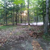 Review photo of Baileys Woods Campground by Megan P., August 22, 2019