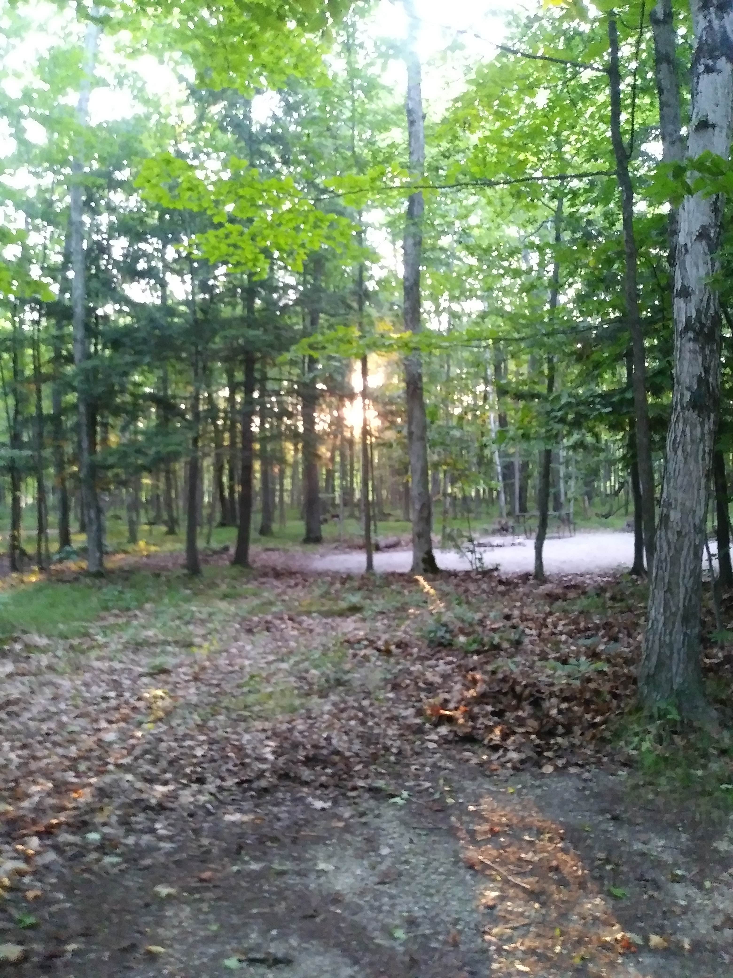 Camper submitted image from Baileys Woods Campground - 4