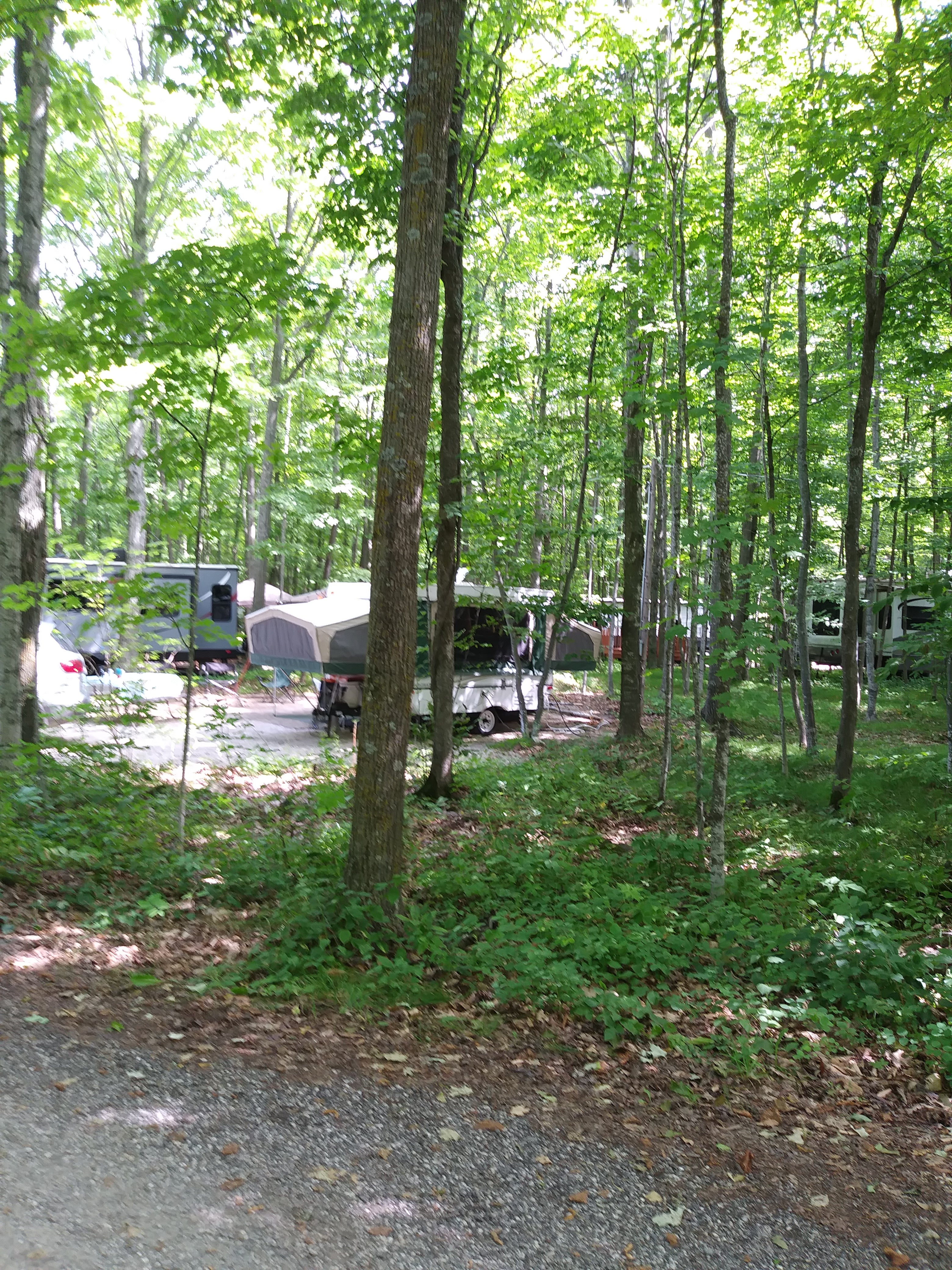 Camper submitted image from Baileys Woods Campground  - 4