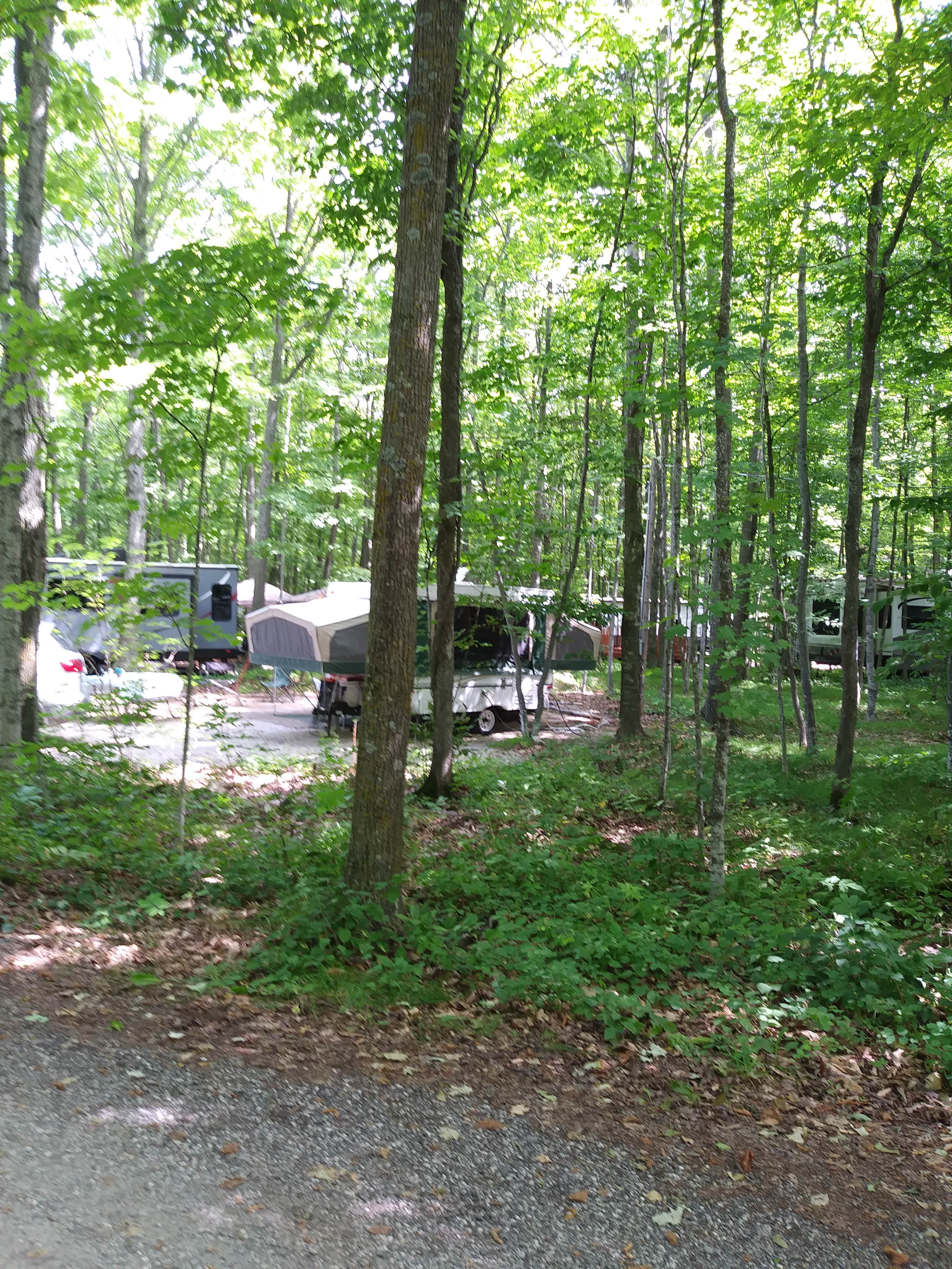 Camper submitted image from Baileys Woods Campground - 4