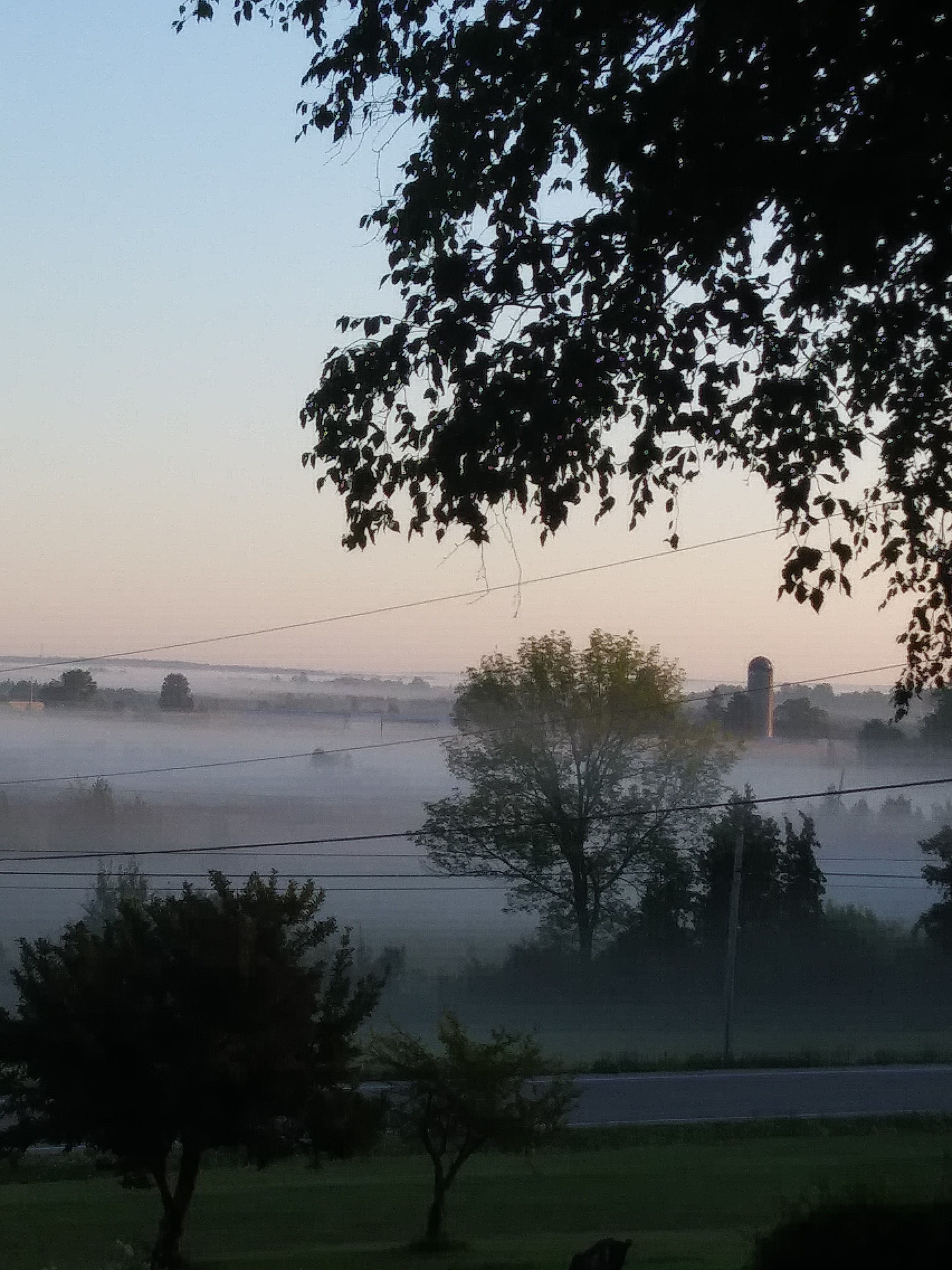 Morning fog from main entrance of campground.