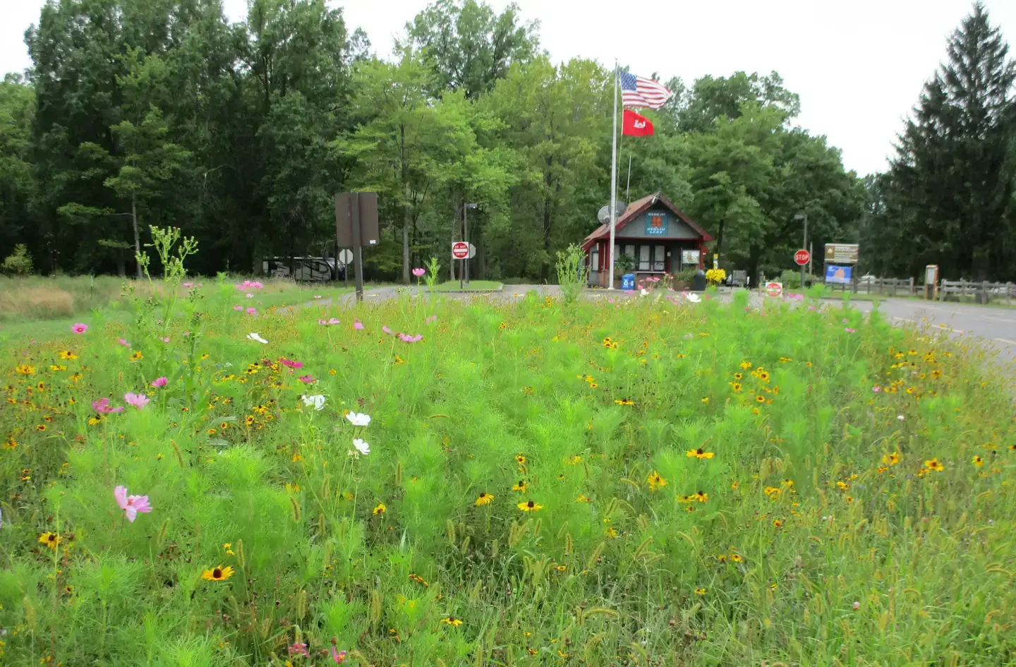 Camper-submitted photo at Mill Creek Camping — Berlin Lake Wildlife Area near Poland, OH