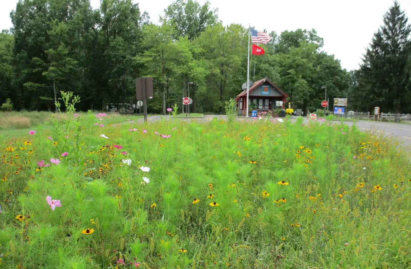 Camper submitted image from Mill Creek Camping — Berlin Lake Wildlife Area - 1