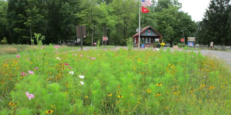 Camper submitted image from Mill Creek Camping — Berlin Lake Wildlife Area