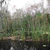 Review photo of Lake Norris Conservation Area by Tracy L H., September 27, 2016