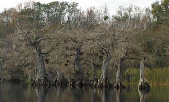 Camping near Lakeside RV Park: Lake Norris Conservation Area, Paisley, Florida