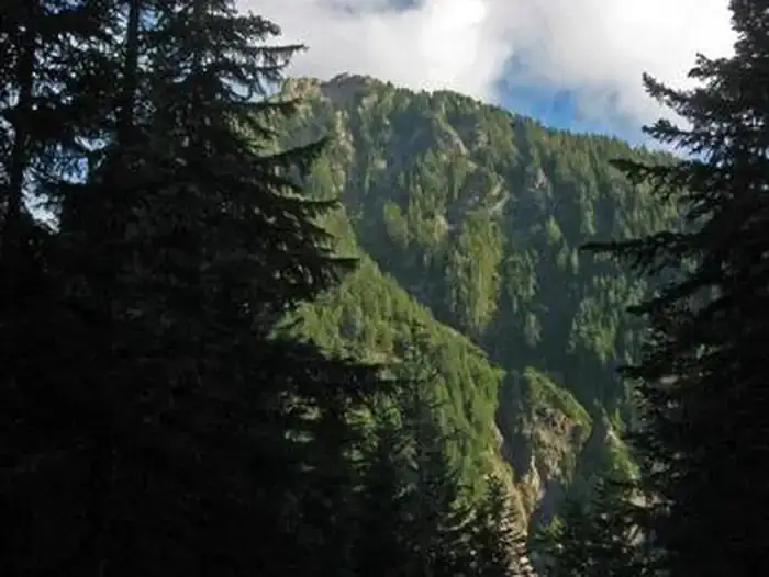 Camper-submitted photo at Cougar Rock Campground — Mount Rainier National Park in Washington