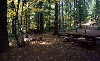 Camping near Eagle Cliff Campground: Lower Falls Campground, Trout Lake, Washington